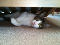 Oscar-Chilling-2009.JPG