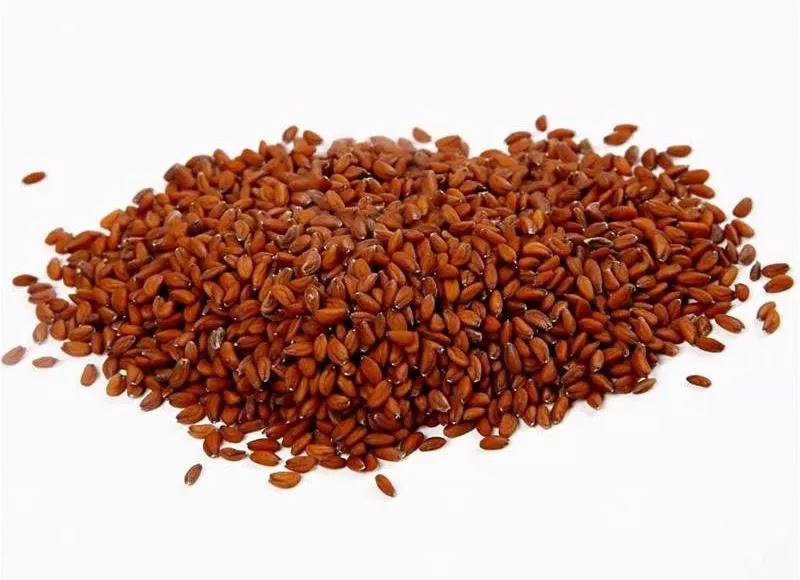 Cress Seeds In Telugu - Garden Plant
