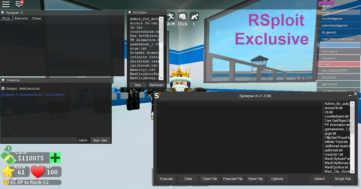 synapse executor exploit exploits visenya