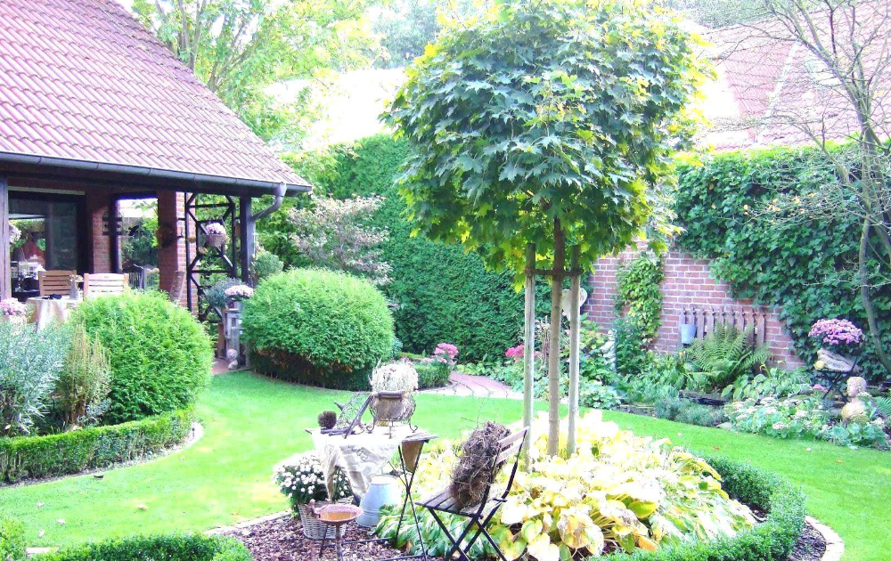 Garten Neu Anlegen Kosten