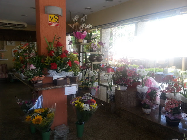 Flores do Paranoá - Brasília