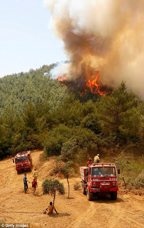 Smoke rises at the site of a forest fire in the Lutuflar district of Izmir, Turkey, where around 250 acres of forestland has been destroyed by the fire