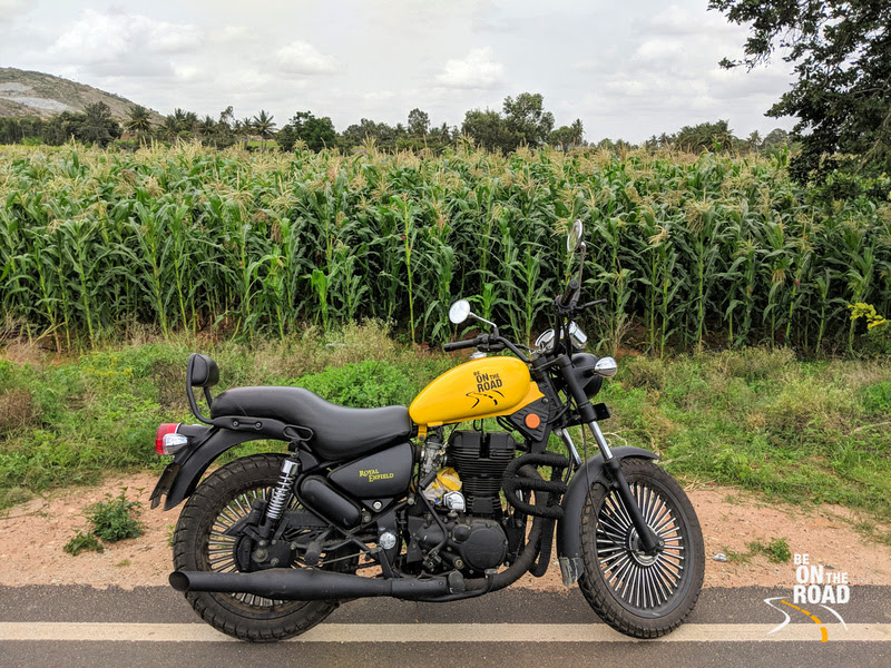 My Custom Motorcycle posing next to Ragi fields at Rural Chikkaballapur