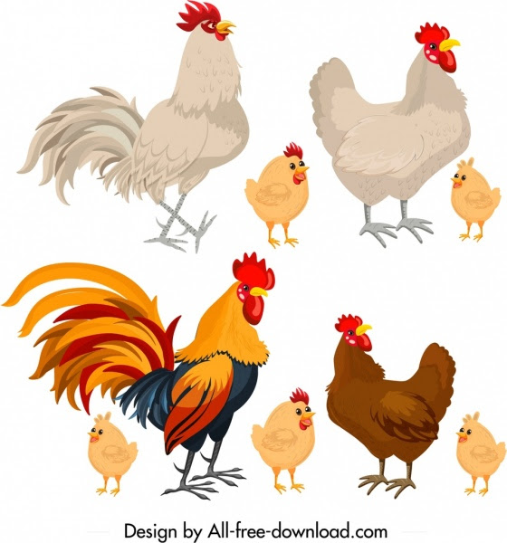 Fantastis 20+ Gambar Ayam Kartun Berwarna Sugriwa Gambar
