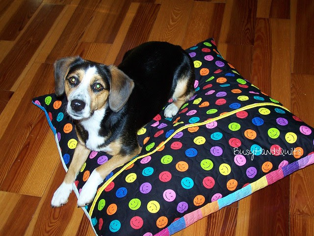 Lily's Quilted Dog Bed