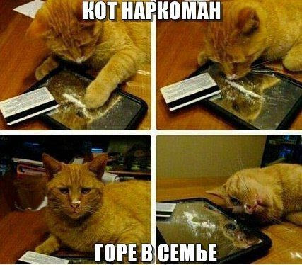 K4nu5-Fx0L1gCm0a0QYUTBzC6c1CC52Apfdcukm6OVMRjzaPsXZu72BAmAjPDD2uwkqqZJVvNVcGhZbakv9G4lCC_kZ9ES6FJxZHSNA9Ww