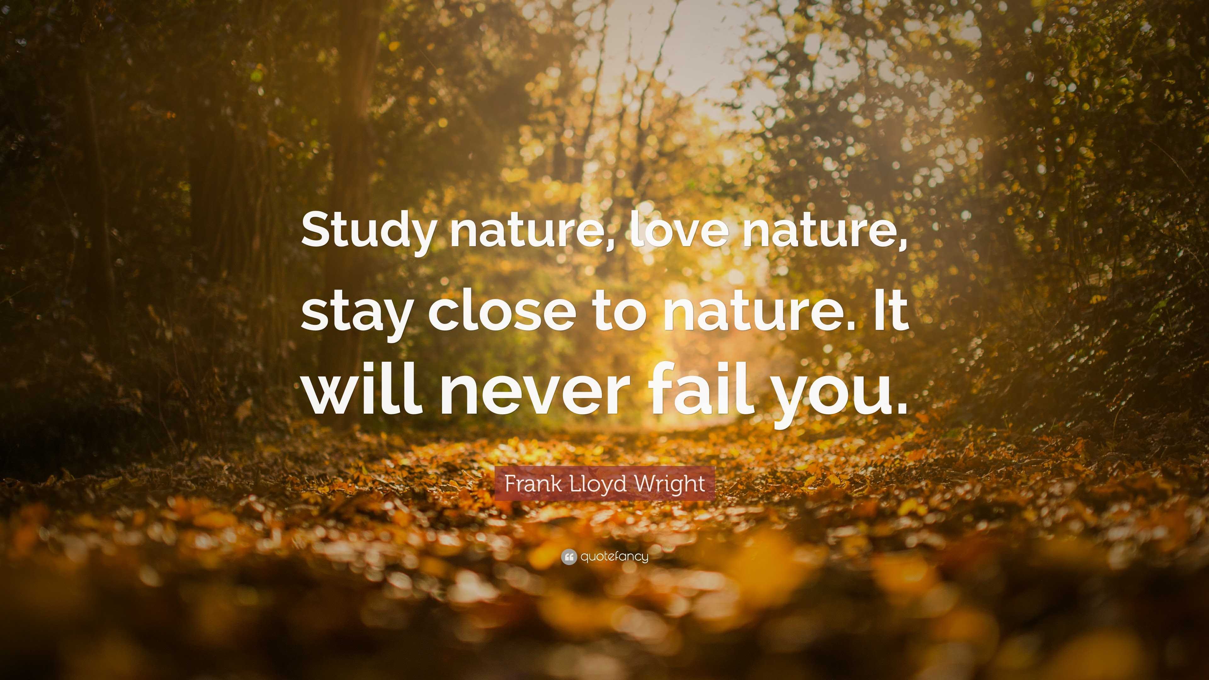 12 Mobile Wallpapers Nature Love Basty Wallpaper