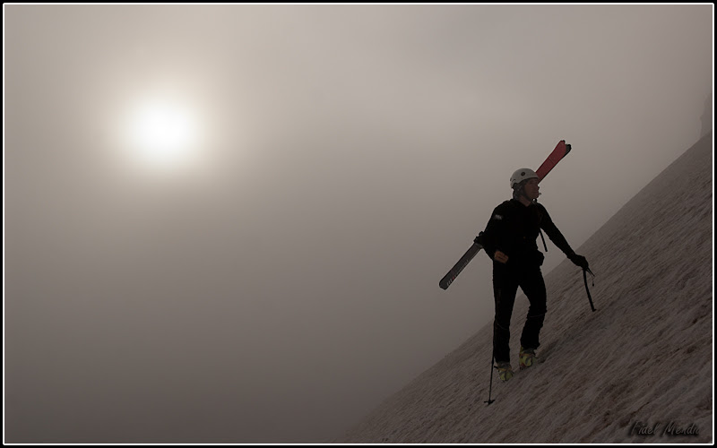 Rafa en la niebla