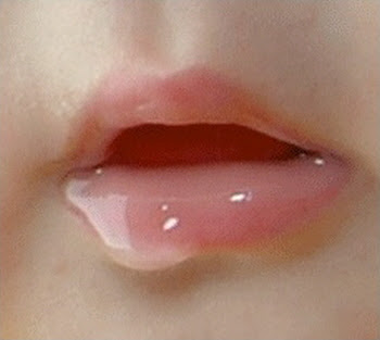 이모카세 이미지