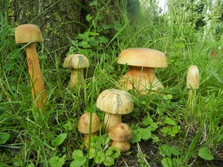 Pilze