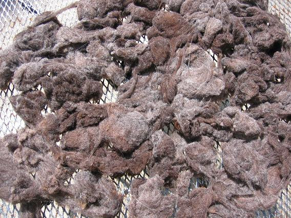 fleece1