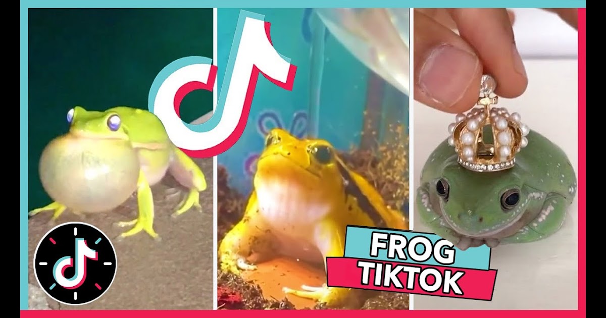 Kawaii Cute Frog Drawing Tiktok - Cafe Wallpaper