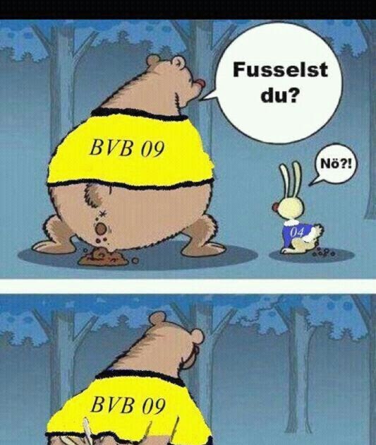 Anti Schalke 04 Bilder