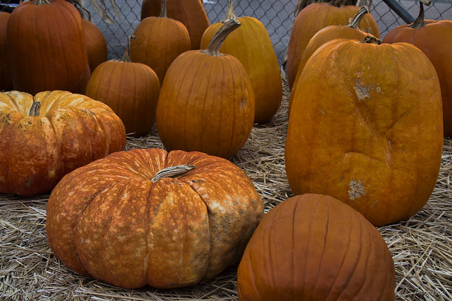 Pumpkins