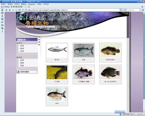 20080307_ODAP-Opera