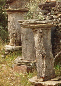 Cortiços cortiça
