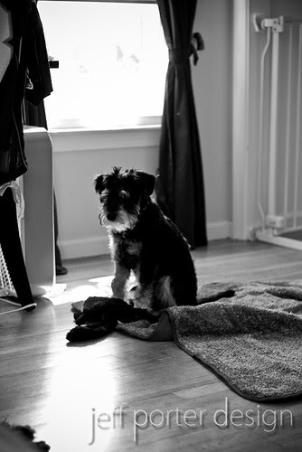 12-09louie07