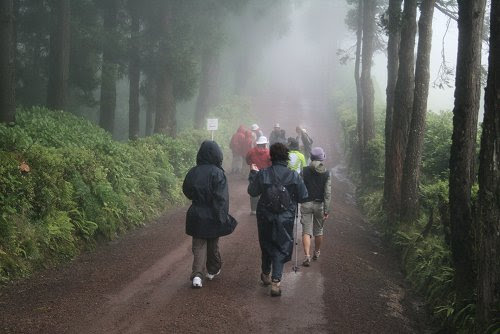 20090617-vs-2434
