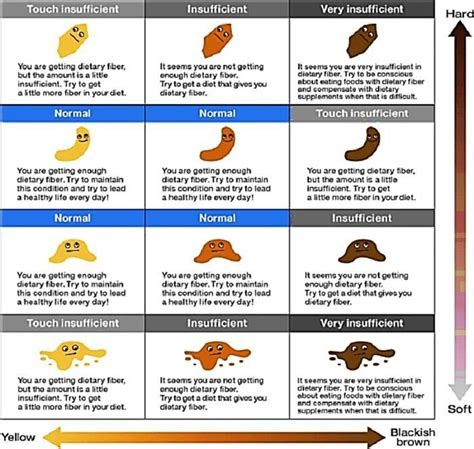 Poop Color Chart