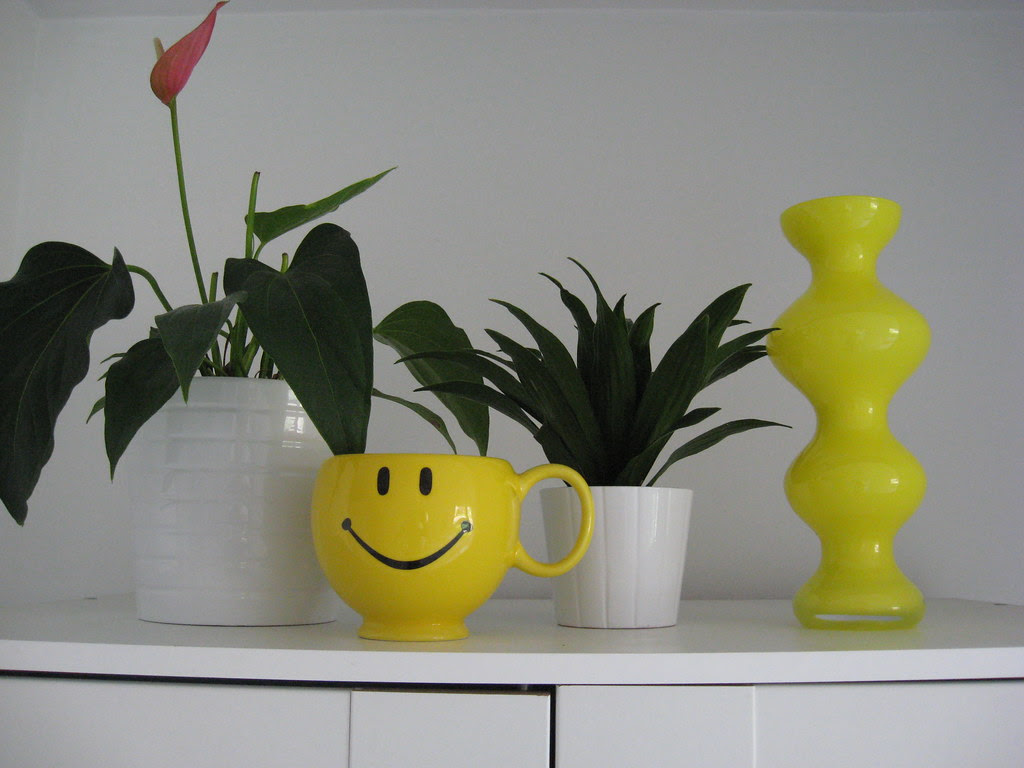My New Yellow Vase - April 2010