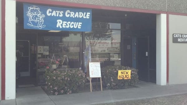 Cats Cradle Rescue Ventura Ca