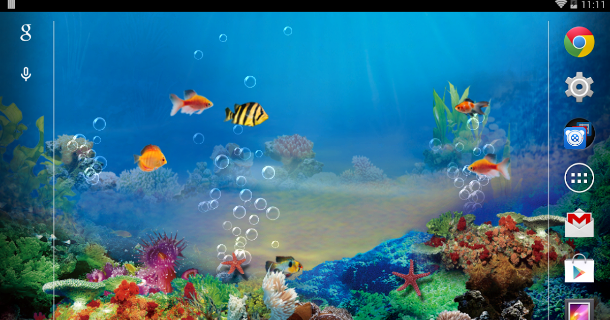Paling Keren 14+ Google Wallpaper Bergerak Joen Wallpaper