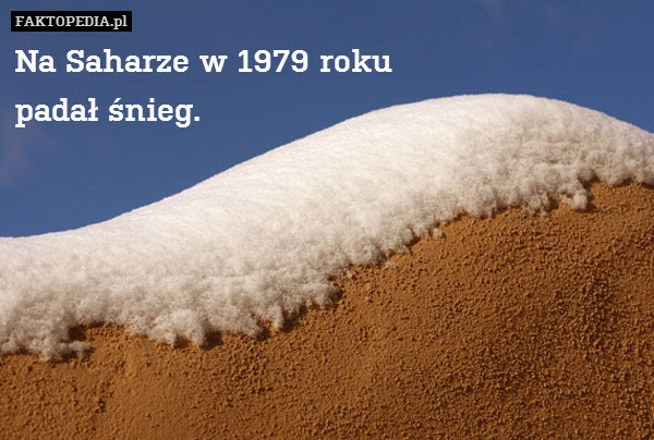 Na Saharze w 1979 roku
padał śnieg. – Na Saharze w 1979 roku
padał śnieg. 