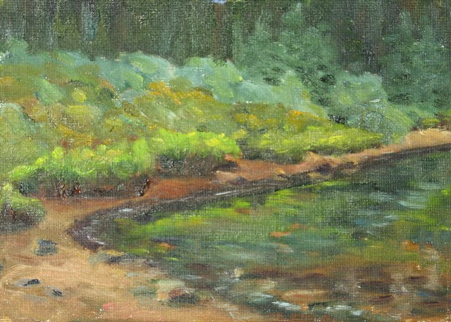 Brainard Lake Reflections