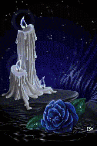 Свечи и синяя роза у воды