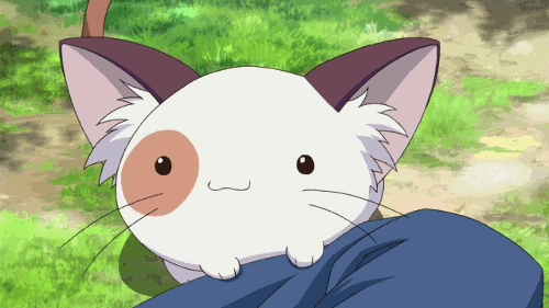 Featured image of post Anime Cat Pet Gif