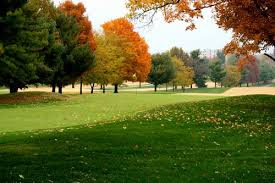 Golf Course «Gay Brewer Jr Golf Course», reviews and photos, 469 Parkway Dr, Lexington, KY 40504, USA