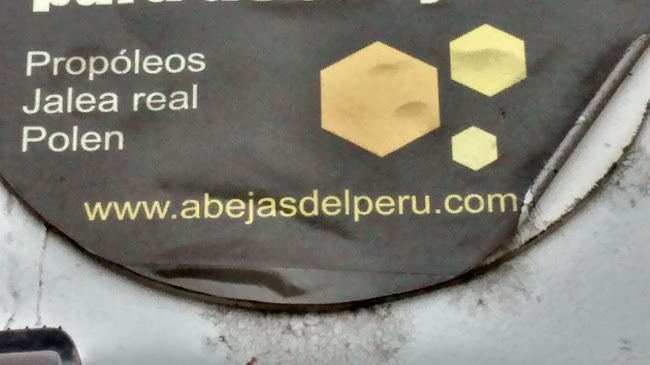 Abejas del Perú - Magdalena del Mar