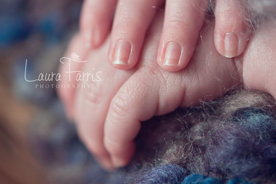 Boise best newborn photographer