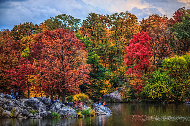 Lush Fall Foliage in Central Park