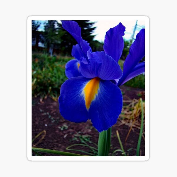 Garten Der Wörter Wortspiel / Download Garten Der Worter