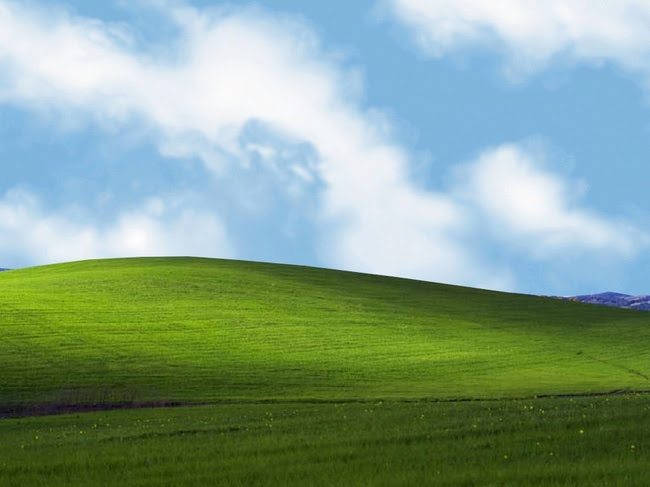 Windows Xp 壁紙 草原 Windows Xp 壁紙 草原 あなたのための最高の壁紙画像