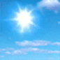 Sunny Sunny