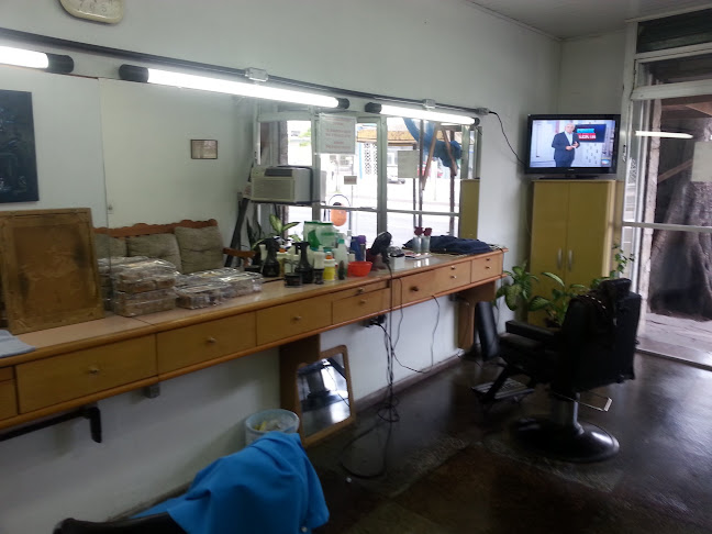 Barbearia joca - Barbearia