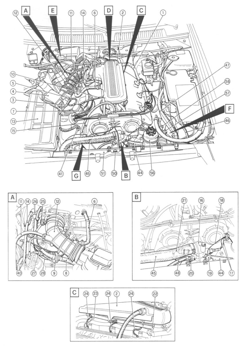 Alfa Romeo 147 Gtum Wiring Diagram