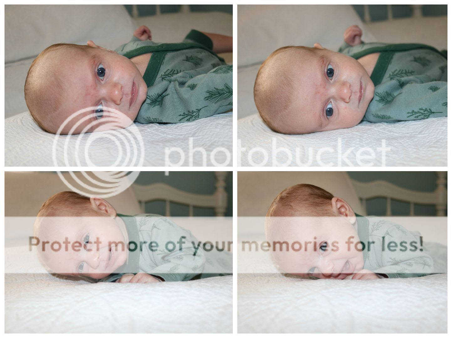 photo Grayson9_zpseqoabw7e.jpg