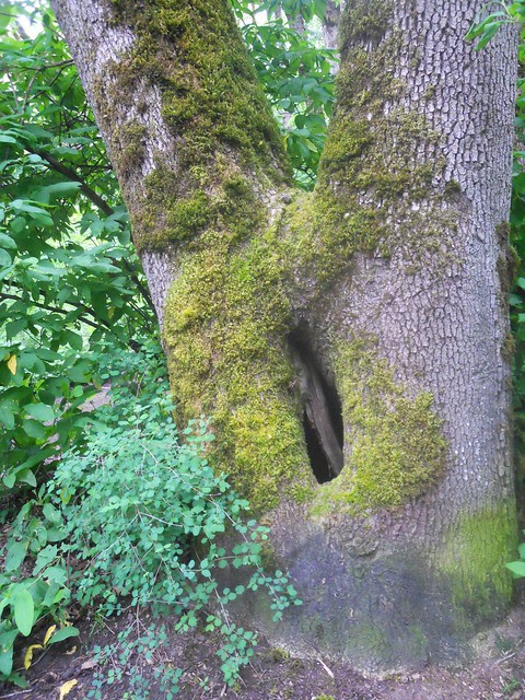 spring2011 299