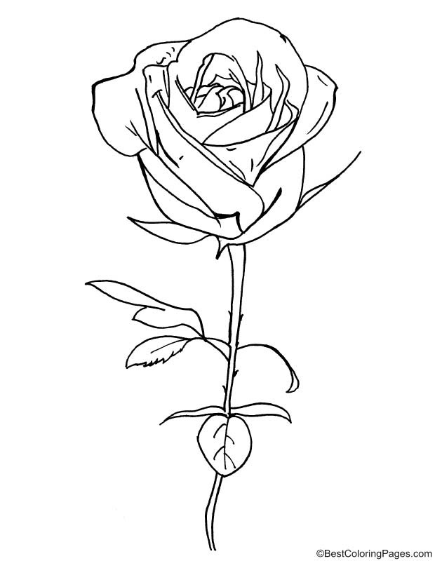 step 18 ariana grande coloring pages step 18 ariana grande coloring pages