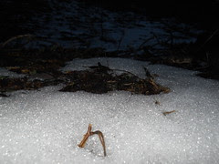 Picture 2639