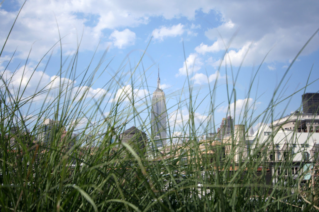 Distant tower