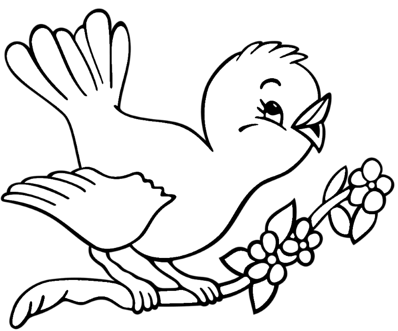 Gli Animali Che Volano Disegno Da Colorare Coloradisegni