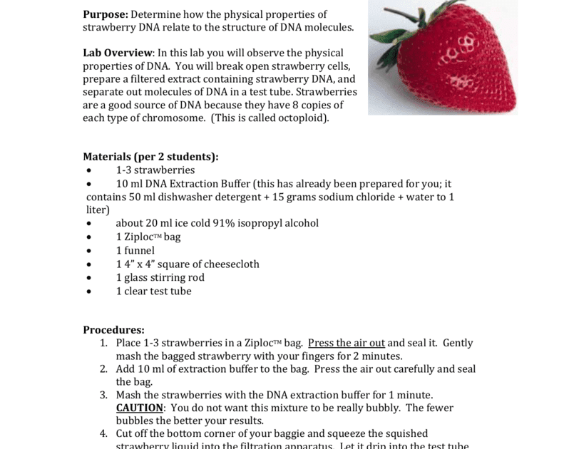Strawberry Dna Extraction Lab - slidedocnow