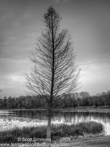 Photo & Video Sharing by SmugMug Photo & Video Sharing by SmugMug