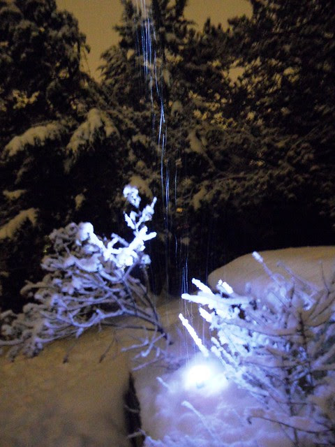 Feb. 27-snowfall in the night-1