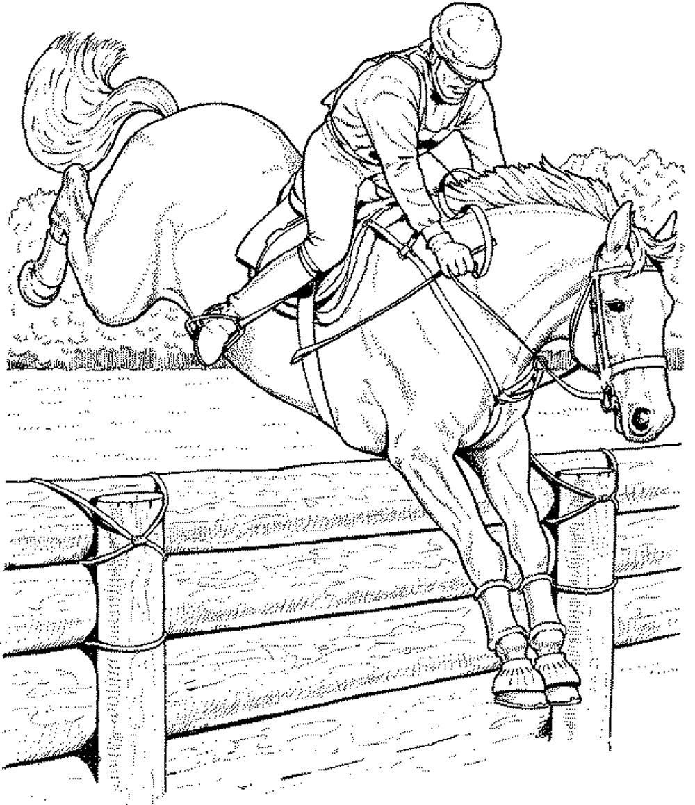 Luxe Chevaux Saut D'obstacle Coloriage  30000 ++ collections de pages