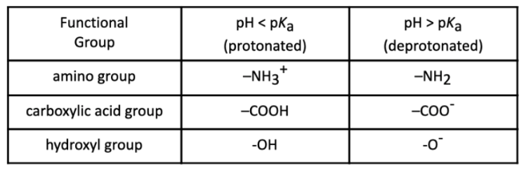 Ph Of Amino Acids Chart - slideshare